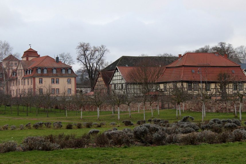 Winterliche Garten in der Orangerie Bendeleben