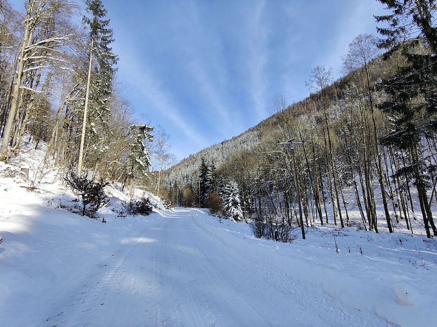 Im Brandesbachtal