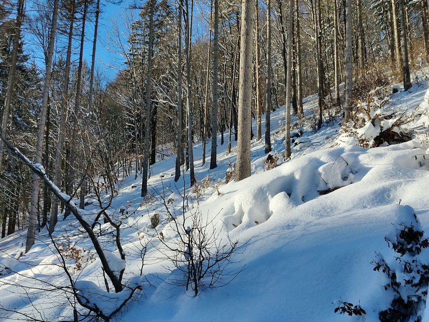 Im Brandesbachtal
