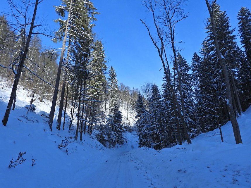 Im Brandesbachtal