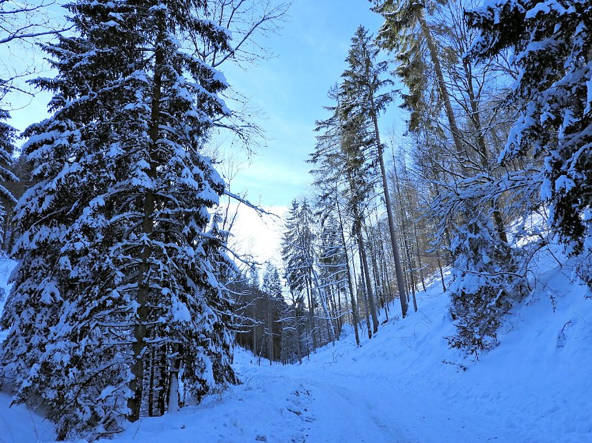 Im Brandesbachtal