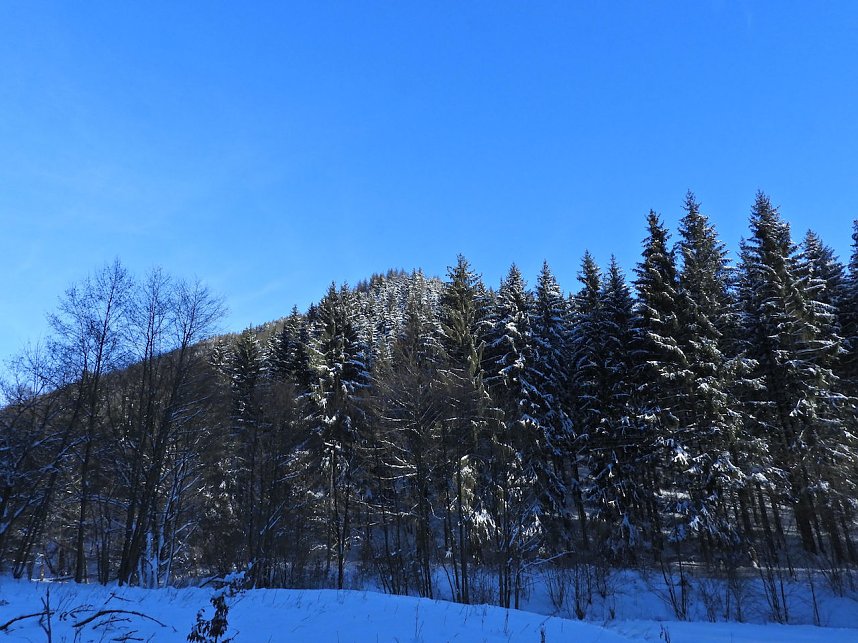 Im Brandesbachtal