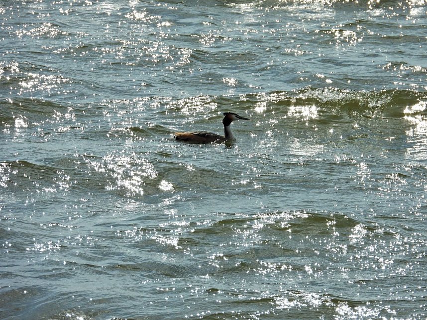 Peter Blei unterwegs am Stausee Kelbra