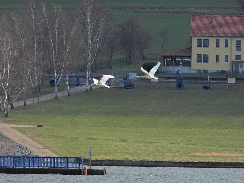 Peter Blei unterwegs am Stausee Kelbra