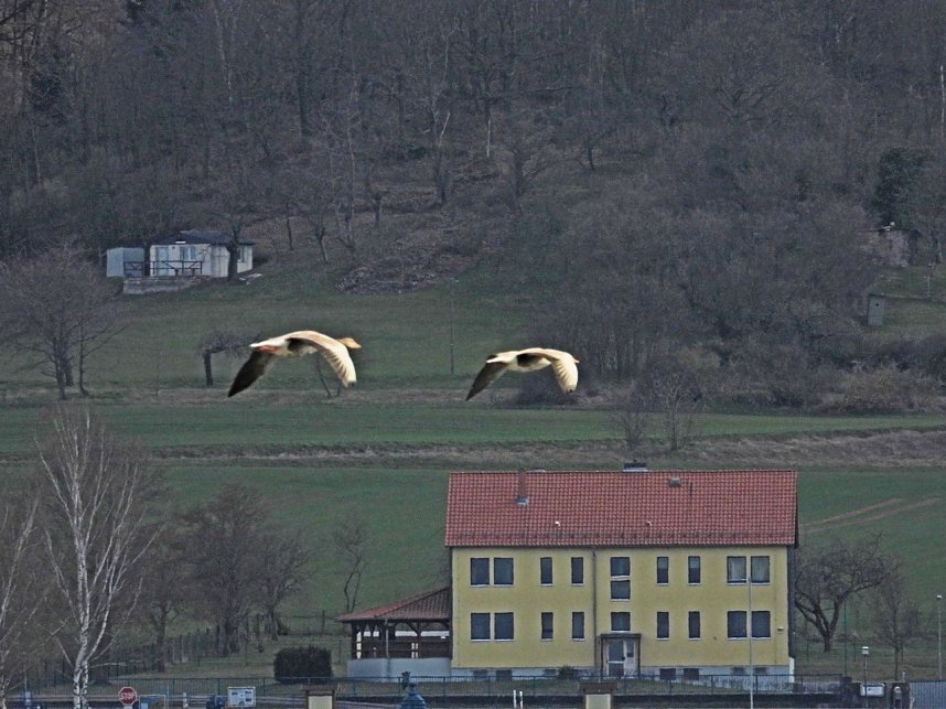 Peter Blei unterwegs am Stausee Kelbra