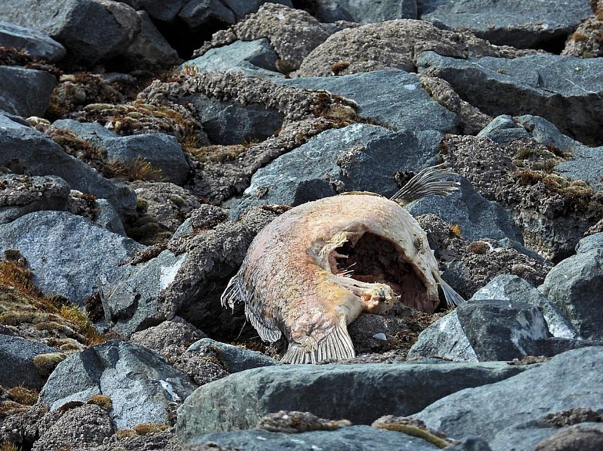 Peter Blei unterwegs am Stausee Kelbra