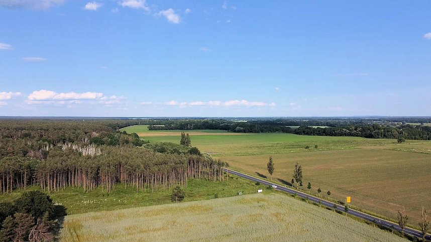 Ausflug zum Muldestausee