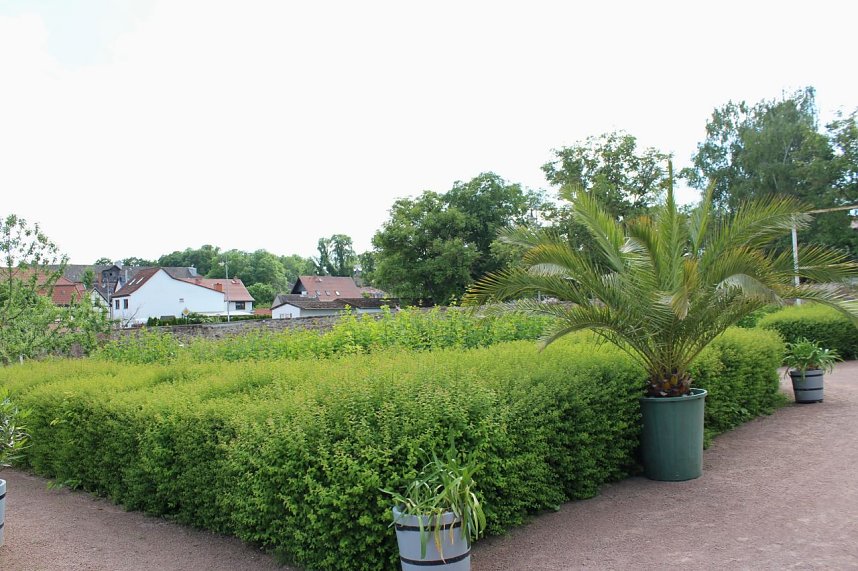 Orangerie in Bendeleben