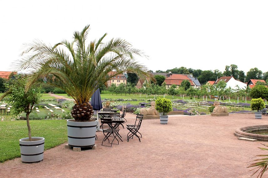 Orangerie in Bendeleben