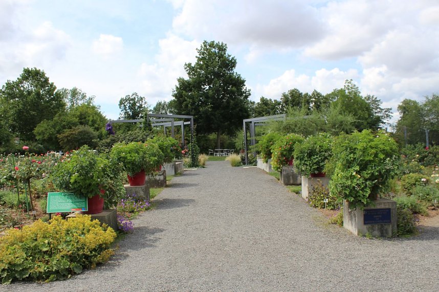 Europa Rosarium in Sangerhausen