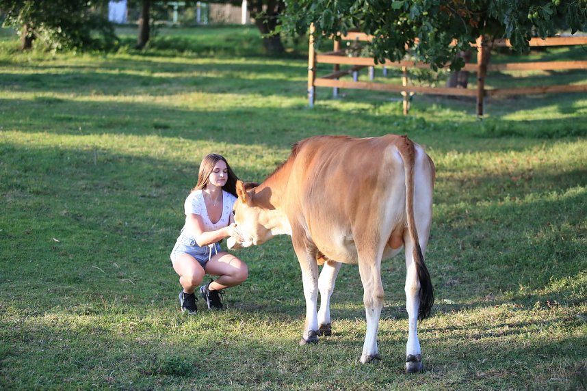 Eine ungew&ouml;hnliche Freundschaft