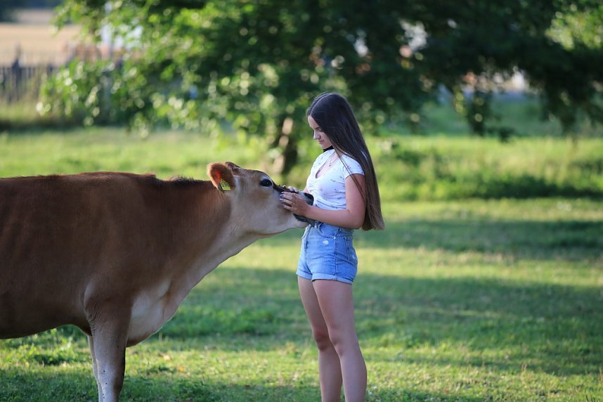 Eine ungew&ouml;hnliche Freundschaft