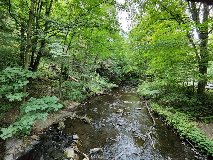 Vom M&auml;gdesprung zum Waldgagsthof