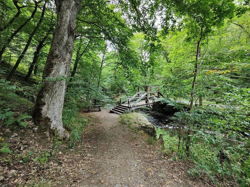 Vom M&auml;gdesprung zum Waldgagsthof