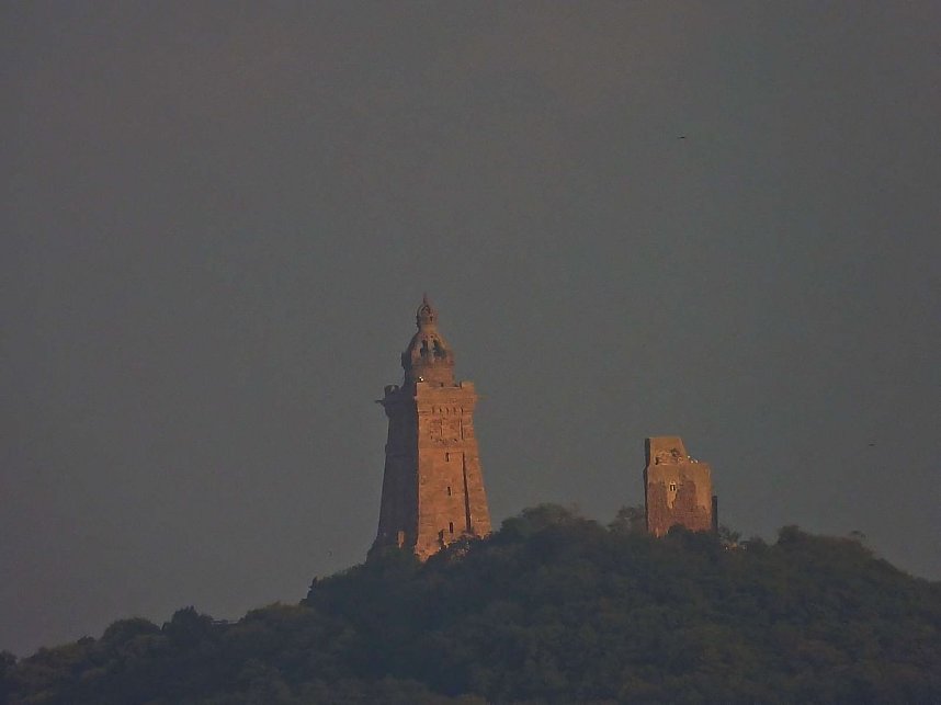 Kraniche am Stausee Kelbra