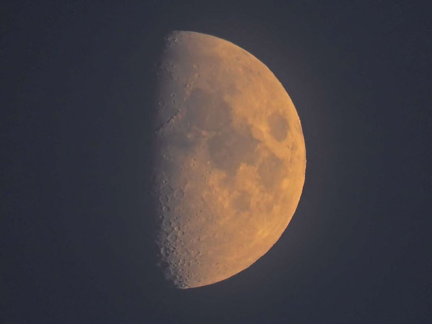 Kraniche am Stausee Kelbra