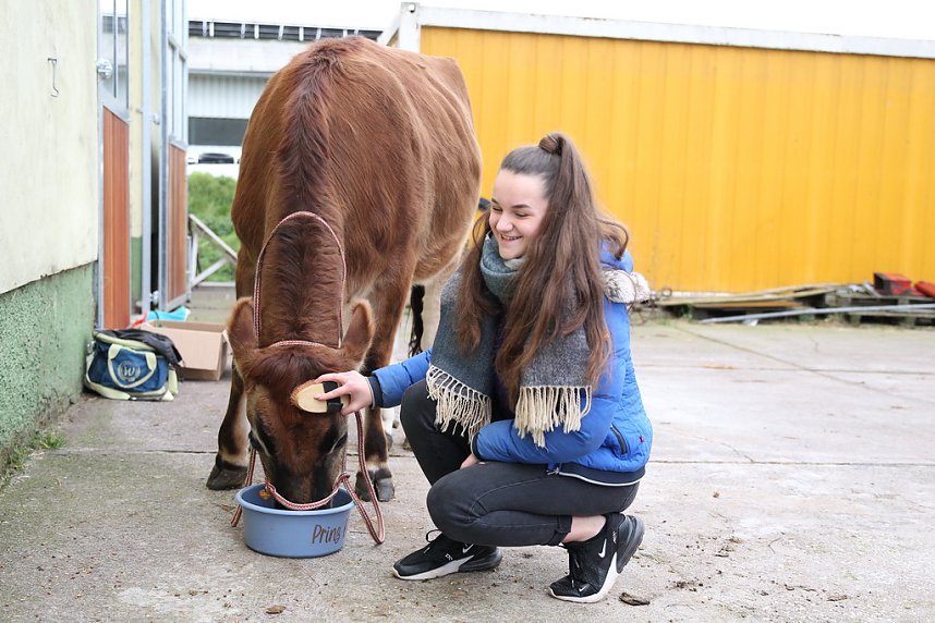 Adventsausflug mit dem Ochsen Tabaluga