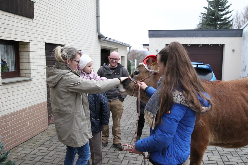 Adventsausflug mit dem Ochsen Tabaluga