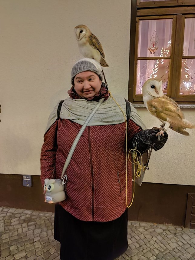 Auf dem Quedlinburger Weihnachtsmarkt