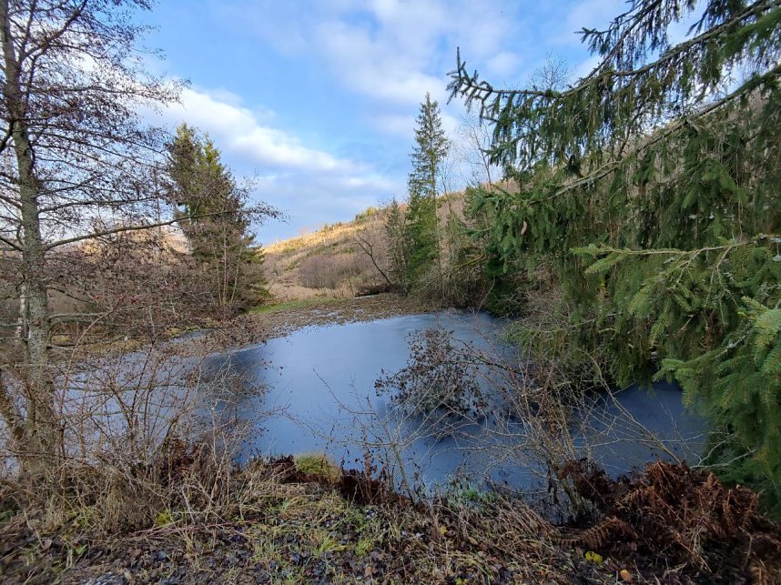 Peter Blei war im Harz unterwegs