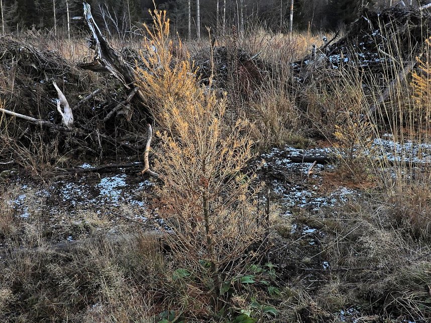 Peter Blei war im Harz unterwegs