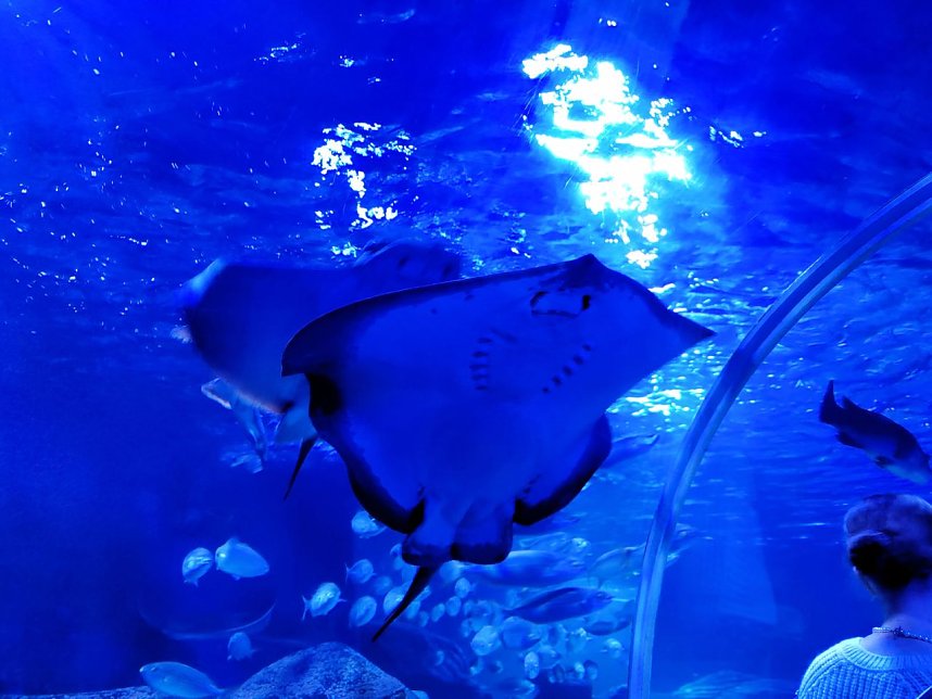 Jahreswechsel in der deutschen Hauptstadt