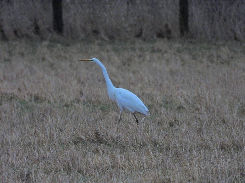 Peter Blei unterwegs am Stausee Kelbra