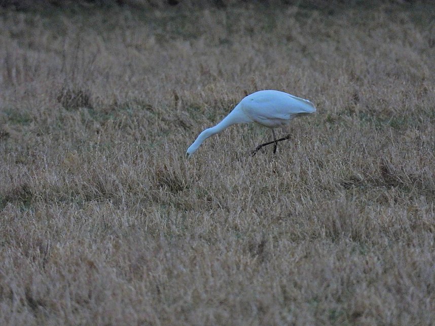 Peter Blei unterwegs am Stausee Kelbra