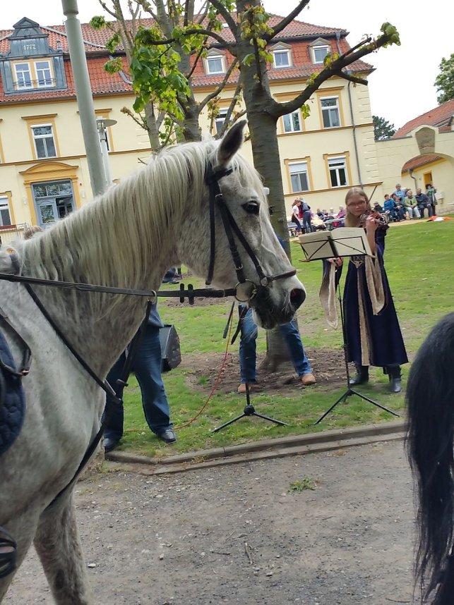 Archiv-Novalisritt 2019