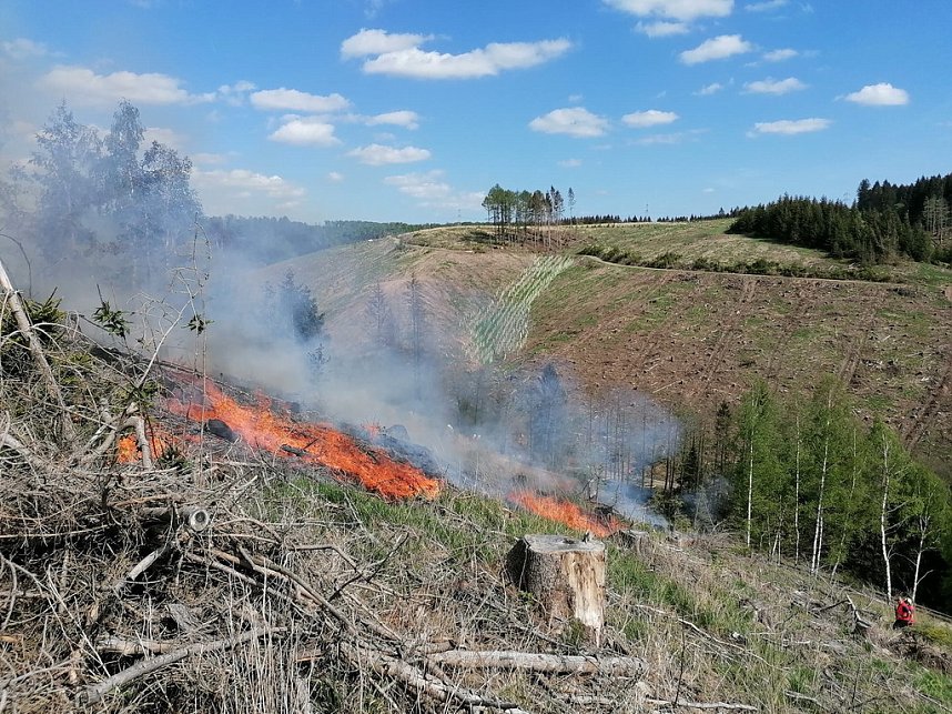 Waldbrand im Birkenmoor