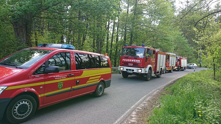 Waldbrand im Birkenmoor