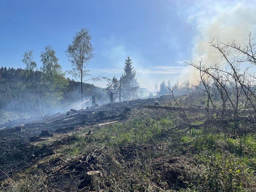 Waldbrand im Birkenmoor
