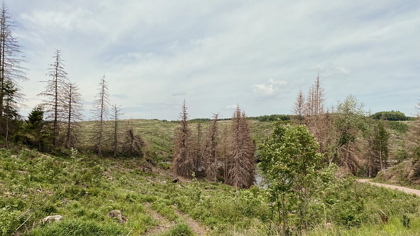 Eindr&uuml;cke aus dem Oberharz zwischen Trautenstein und Sophienhof