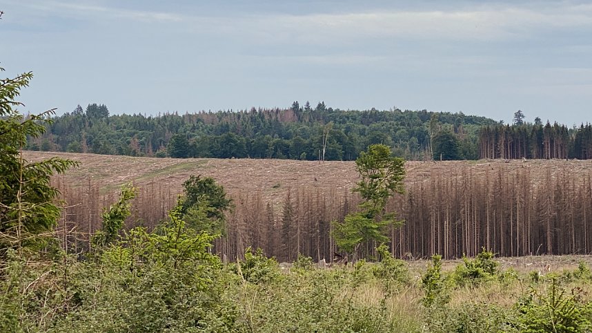 Eindr&uuml;cke aus dem Oberharz zwischen Trautenstein und Sophienhof