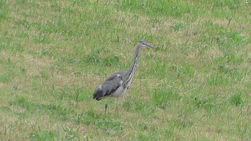Unterwegs in der Goldenen Aue