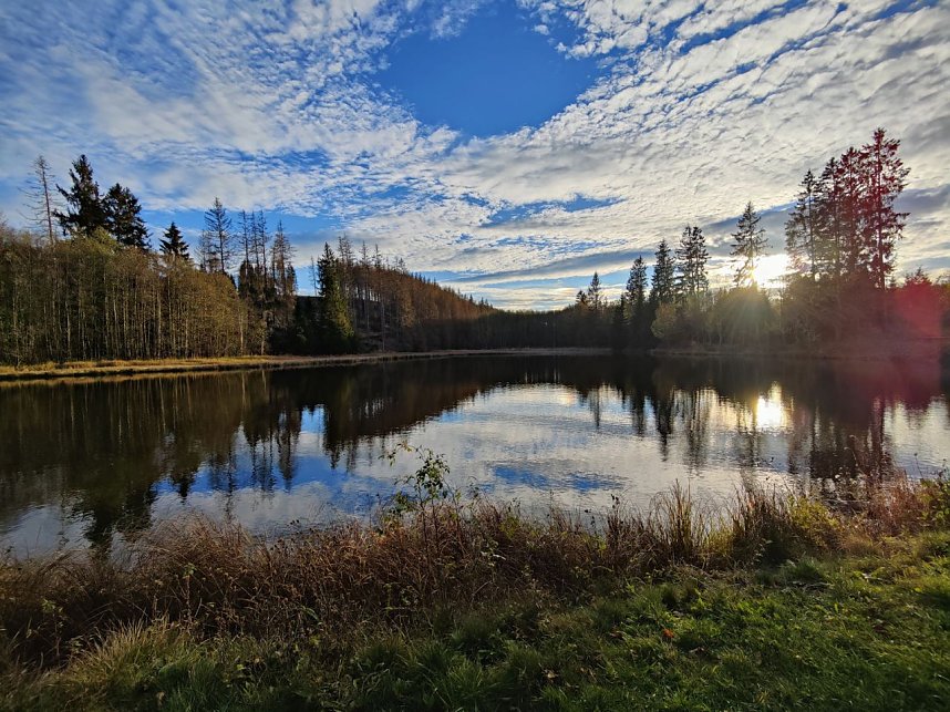 Peter Blei unterwegs im Harz