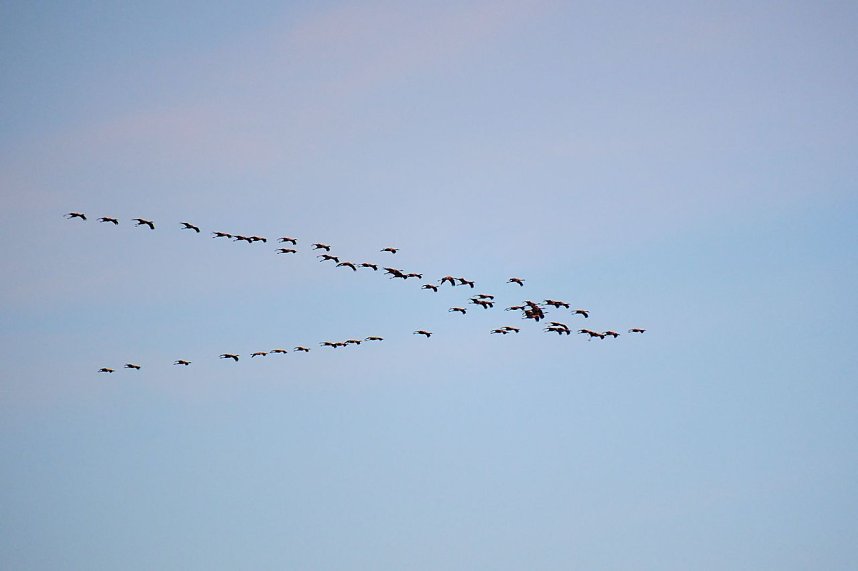 Peter Blei unterwegs im Schnee