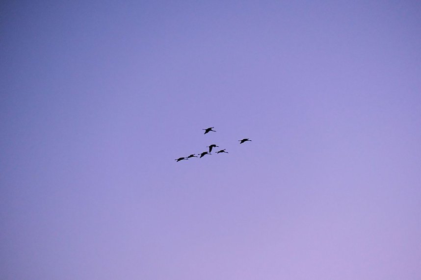 Peter Blei unterwegs im Schnee