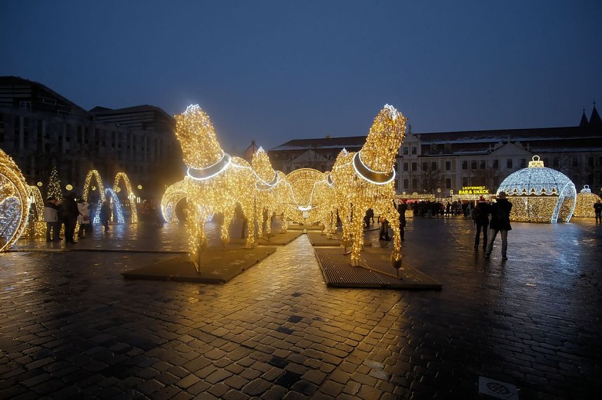 Peter Blei unterwegs in Magdeburg