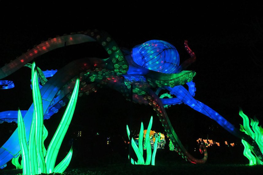 Peter Blei in den magischen Lichterwelten