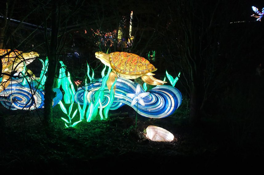 Peter Blei in den magischen Lichterwelten