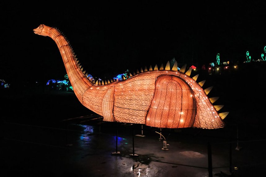 Peter Blei in den magischen Lichterwelten