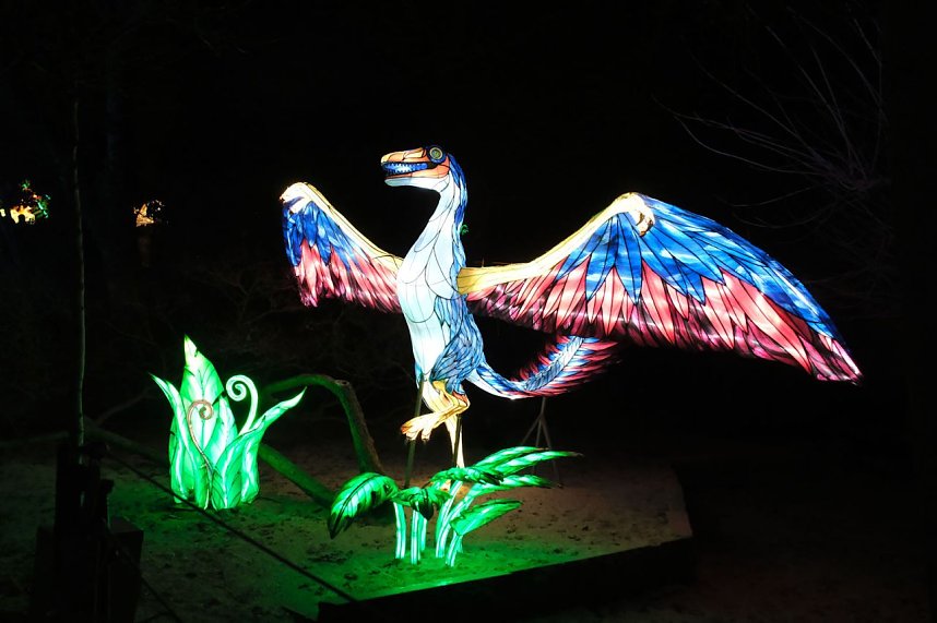 Peter Blei in den magischen Lichterwelten