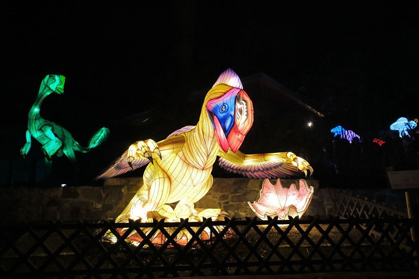 Peter Blei in den magischen Lichterwelten