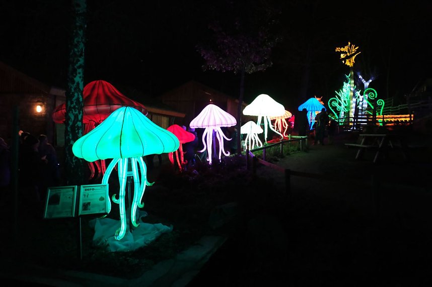 Peter Blei in den magischen Lichterwelten