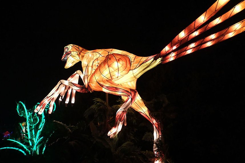 Peter Blei in den magischen Lichterwelten