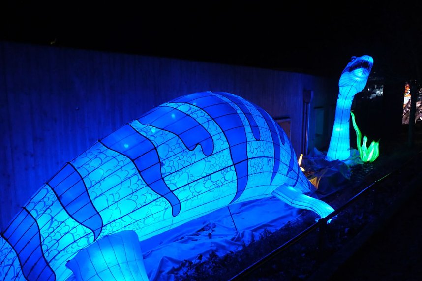 Peter Blei in den magischen Lichterwelten