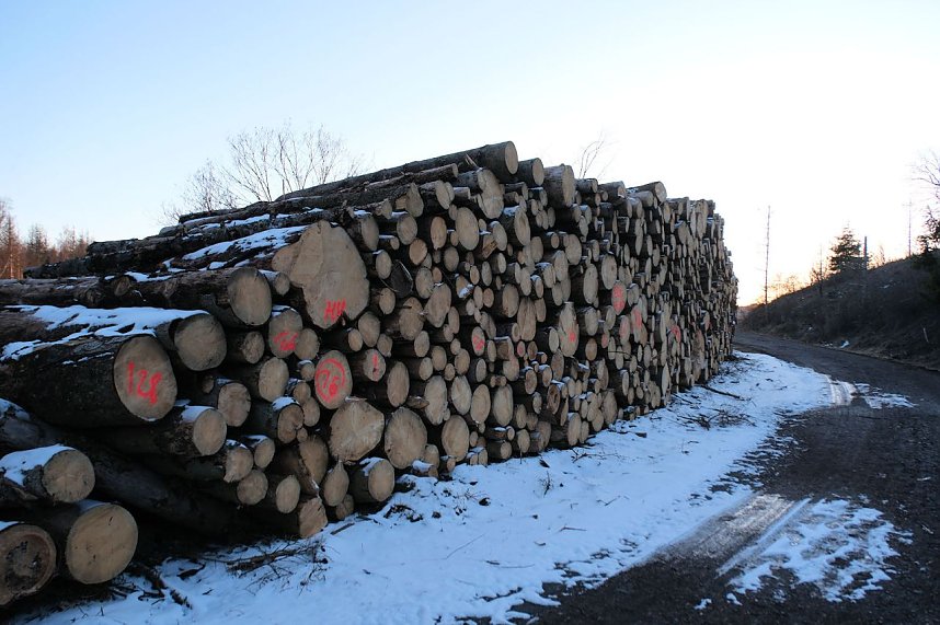 Peter Blei unterwegs an der Hasselvorsperre