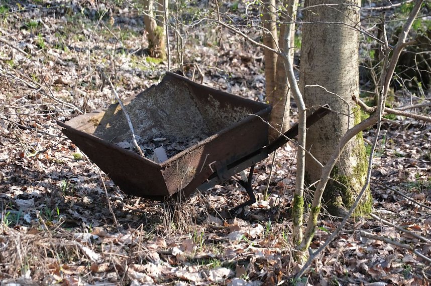 Osterspaziergang im Vorharz