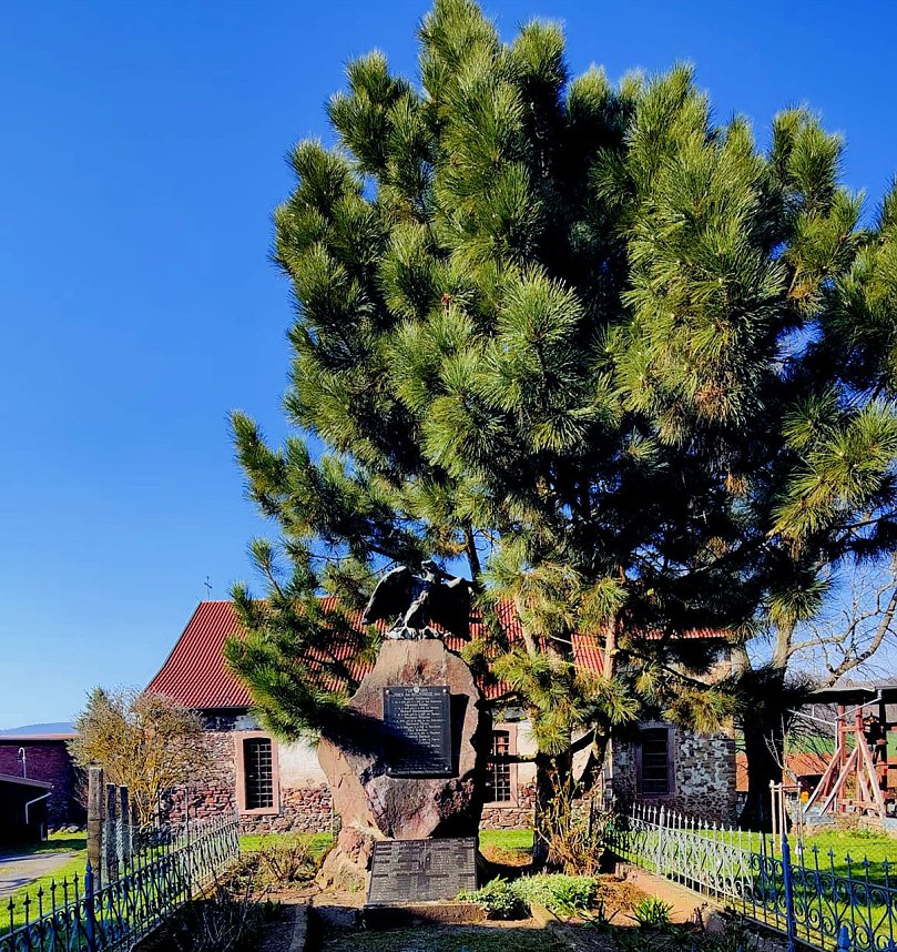 Osterspaziergang im Vorharz